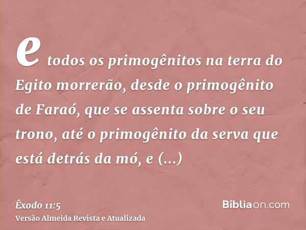 e todos os primogênitos na terra do Egito morrerão, desde o primogênito de Faraó, que se assenta sobre o seu trono, até o primogênito da serva que está detrás d