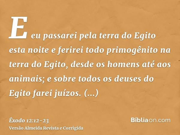 E eu passarei pela terra do Egito esta noite e ferirei todo primogênito na terra do Egito, desde os homens até aos animais; e sobre todos os deuses do Egito far