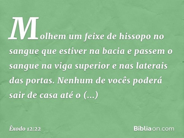 Mo­lhem um feixe de hissopo no sangue que estiver na bacia e passem o sangue na viga superior e nas laterais das portas. Nenhum de vocês pode­rá sair de casa at