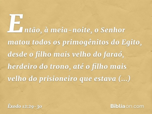 Então, à meia-noite, o Senhor matou todos os primogênitos do Egito, desde o filho mais velho do faraó, herdeiro do trono, até o filho mais velho do prisioneiro 