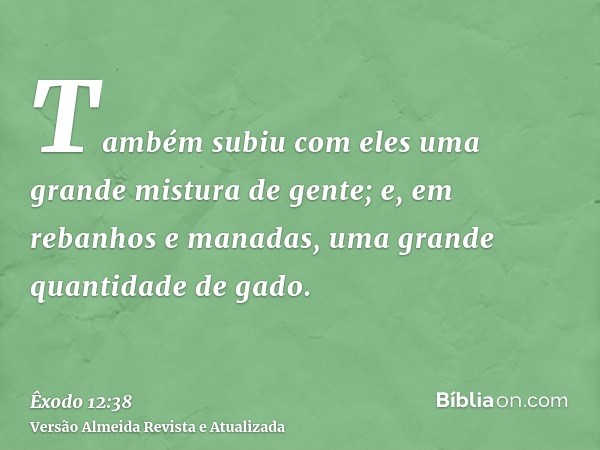 Também subiu com eles uma grande mistura de gente; e, em rebanhos e manadas, uma grande quantidade de gado.