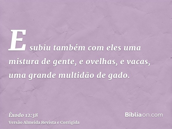 E subiu também com eles uma mistura de gente, e ovelhas, e vacas, uma grande multidão de gado.
