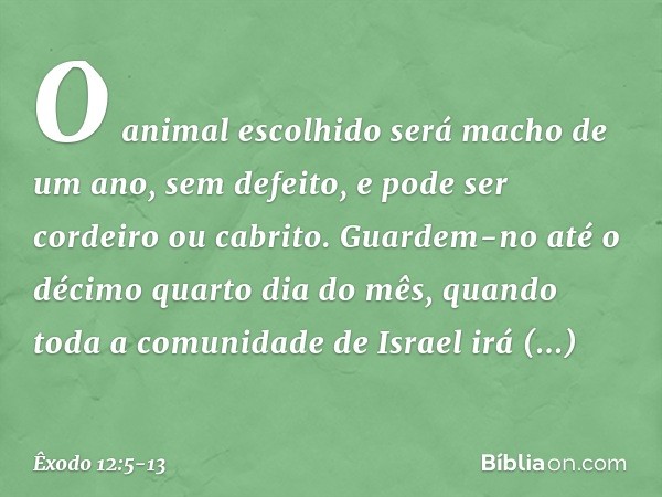 O animal escolhido será macho de um ano, sem defeito, e pode ser cordeiro ou cabrito. Guardem-no até o décimo quarto dia do mês, quando toda a comunidade de Isr