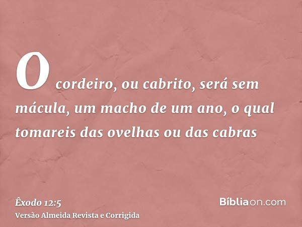 O cordeiro, ou cabrito, será sem mácula, um macho de um ano, o qual tomareis das ovelhas ou das cabras