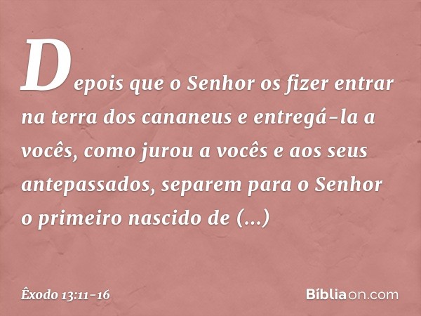 "Depois que o Senhor os fizer entrar na terra dos cananeus e entregá-la a vocês, como jurou a vocês e aos seus antepassados, separem para o Senhor o primeiro