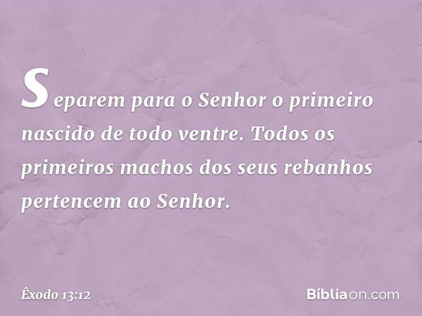 se­parem para o Senhor o primeiro nascido de todo ventre. Todos os primeiros machos dos seus rebanhos pertencem ao Senhor. -- Êxodo 13:12