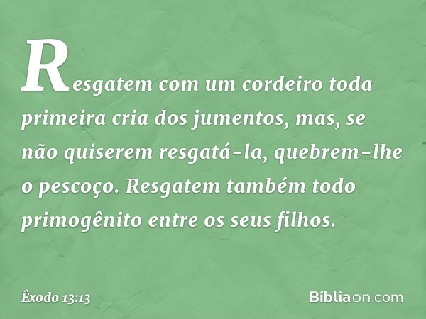 Res­gatem com um cordeiro toda primeira cria dos jumentos, mas, se não quiserem resgatá-la, quebrem-lhe o pescoço. Resgatem também todo primogênito entre os seu