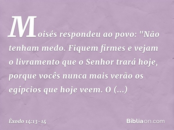Moisés respondeu ao povo: "Não tenham medo. Fiquem firmes e vejam o livramento que o Senhor trará hoje, porque vocês nunca mais verão os egípcios que hoje vee