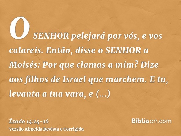 O SENHOR pelejará por vós, e vos calareis.Então, disse o SENHOR a Moisés: Por que clamas a mim? Dize aos filhos de Israel que marchem.E tu, levanta a tua vara, 