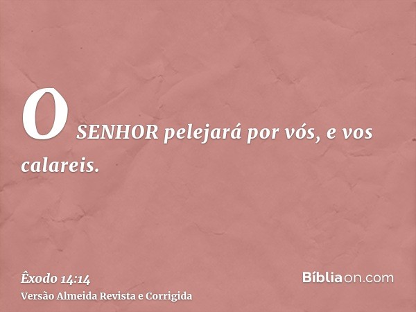 O SENHOR pelejará por vós, e vos calareis.