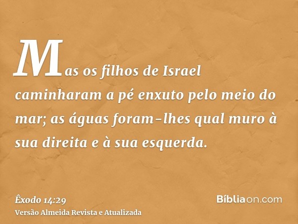 Mas os filhos de Israel caminharam a pé enxuto pelo meio do mar; as águas foram-lhes qual muro à sua direita e à sua esquerda.