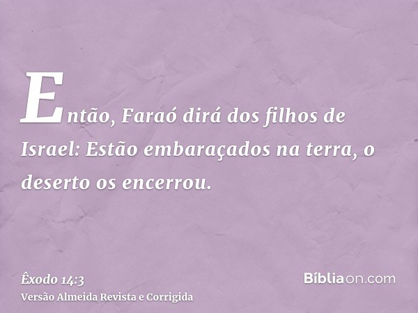 Então, Faraó dirá dos filhos de Israel: Estão embaraçados na terra, o deserto os encerrou.