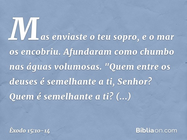 Mas enviaste o teu sopro,
e o mar os encobriu.
Afundaram como chumbo
nas águas volumosas. "Quem entre os deuses
é semelhante a ti, Senhor?
Quem é semelhante a t