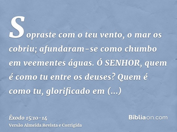 Sopraste com o teu vento, o mar os cobriu; afundaram-se como chumbo em veementes águas.Ó SENHOR, quem é como tu entre os deuses? Quem é como tu, glorificado em 