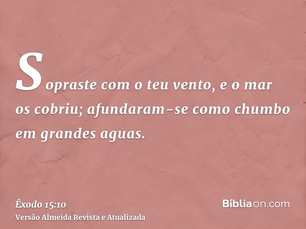 Sopraste com o teu vento, e o mar os cobriu; afundaram-se como chumbo em grandes aguas.