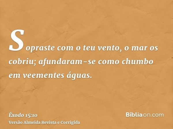 Sopraste com o teu vento, o mar os cobriu; afundaram-se como chumbo em veementes águas.