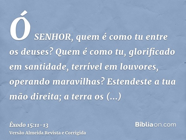 Ó SENHOR, quem é como tu entre os deuses? Quem é como tu, glorificado em santidade, terrível em louvores, operando maravilhas?Estendeste a tua mão direita; a te