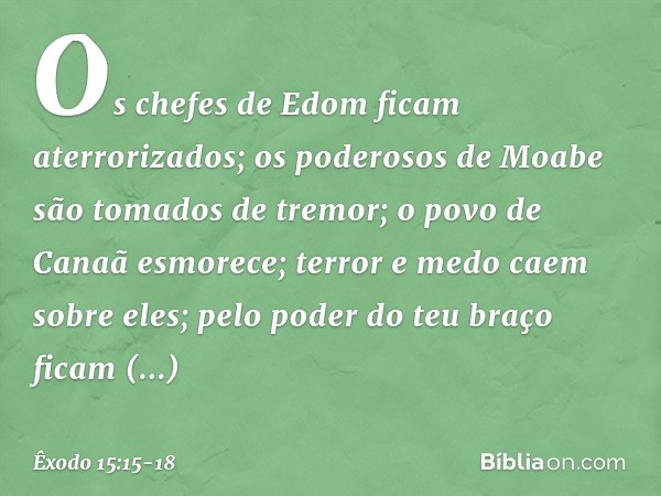 Os chefes de Edom
ficam aterrorizados;
os poderosos de Moabe
são tomados de tremor;
o povo de Canaã esmorece; terror e medo caem sobre eles;
pelo poder do teu b