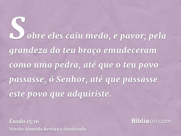 Sobre eles caiu medo, e pavor; pela grandeza do teu braço emudeceram como uma pedra, até que o teu povo passasse, ó Senhor, até que passasse este povo que adqui