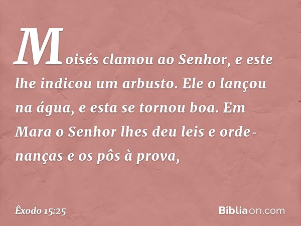 Moisés clamou ao Senhor, e este lhe indicou um arbusto. Ele o lançou na água, e esta se tornou boa.
Em Mara o Senhor lhes deu leis e orde­nanças e os pôs à prov