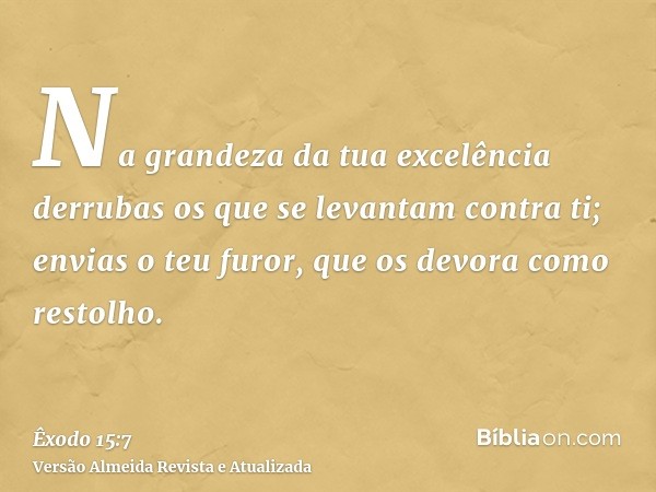 Na grandeza da tua excelência derrubas os que se levantam contra ti; envias o teu furor, que os devora como restolho.