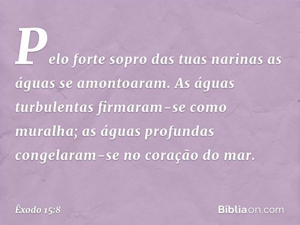 Pelo forte sopro das tuas narinas
as águas se amontoaram.
As águas turbulentas
firmaram-se como muralha;
as águas profundas
congelaram-se no coração do mar. -- 