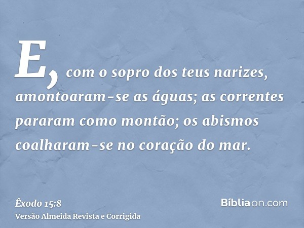 E, com o sopro dos teus narizes, amontoaram-se as águas; as correntes pararam como montão; os abismos coalharam-se no coração do mar.