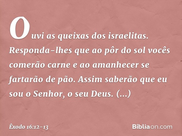 "Ouvi as queixas ­dos israelitas. Responda-lhes que ao pôr do sol vocês comerão carne e ao amanhe­cer se fartarão de pão. Assim saberão que eu sou o Senhor, o s