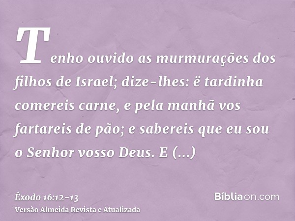 Tenho ouvido as murmurações dos filhos de Israel; dize-lhes: ë tardinha comereis carne, e pela manhã vos fartareis de pão; e sabereis que eu sou o Senhor vosso 