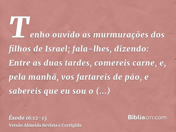 Tenho ouvido as murmurações dos filhos de Israel; fala-lhes, dizendo: Entre as duas tardes, comereis carne, e, pela manhã, vos fartareis de pão, e sabereis que 