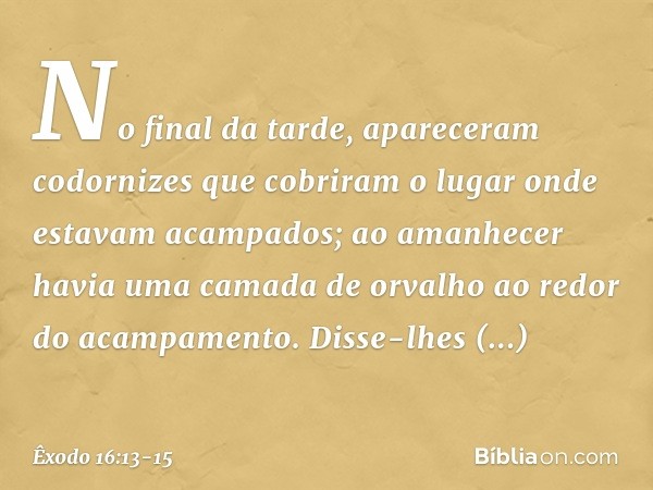 No final da tarde, apareceram codorni­zes que cobriram o lugar onde estavam acampa­dos; ao amanhecer havia uma camada de orva­lho ao redor do acampamento.
Disse