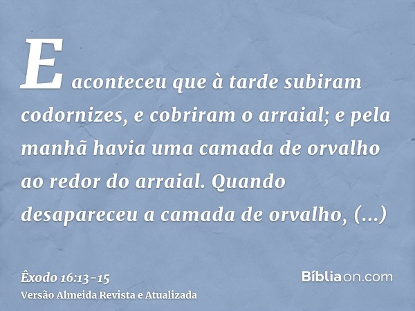 E aconteceu que à tarde subiram codornizes, e cobriram o arraial; e pela manhã havia uma camada de orvalho ao redor do arraial.Quando desapareceu a camada de or