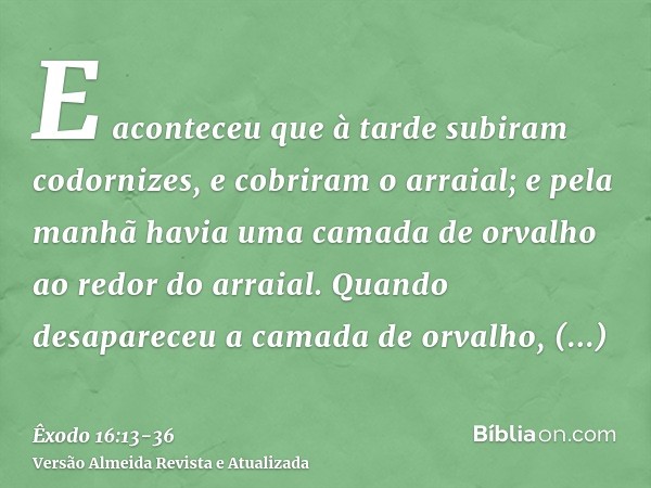 E aconteceu que à tarde subiram codornizes, e cobriram o arraial; e pela manhã havia uma camada de orvalho ao redor do arraial.Quando desapareceu a camada de or
