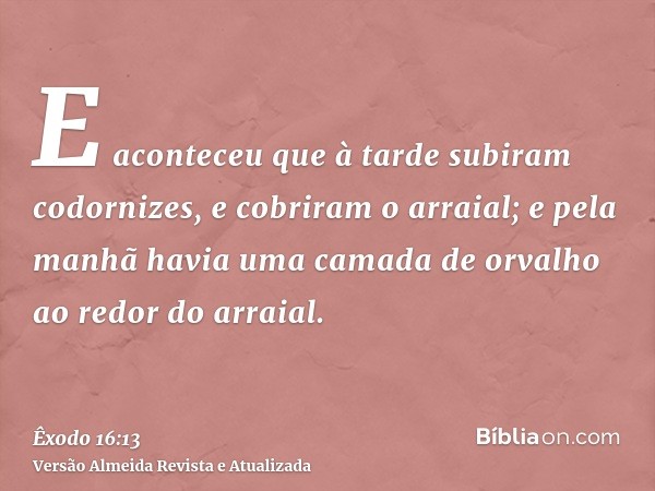 E aconteceu que à tarde subiram codornizes, e cobriram o arraial; e pela manhã havia uma camada de orvalho ao redor do arraial.