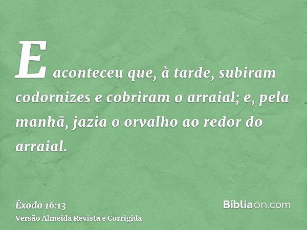 E aconteceu que, à tarde, subiram codornizes e cobriram o arraial; e, pela manhã, jazia o orvalho ao redor do arraial.