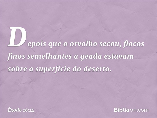 Depois que o orvalho secou, flocos finos semelhantes a geada estavam sobre a superfície do deserto. -- Êxodo 16:14