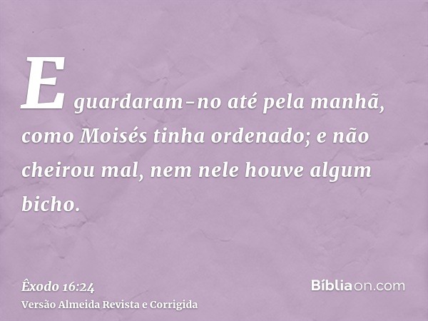 E guardaram-no até pela manhã, como Moisés tinha ordenado; e não cheirou mal, nem nele houve algum bicho.