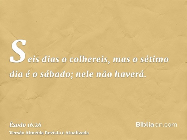 Seis dias o colhereis, mas o sétimo dia é o sábado; nele não haverá.