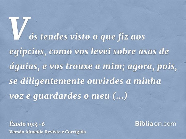 Vós tendes visto o que fiz aos egípcios, como vos levei sobre asas de águias, e vos trouxe a mim;agora, pois, se diligentemente ouvirdes a minha voz e guardarde
