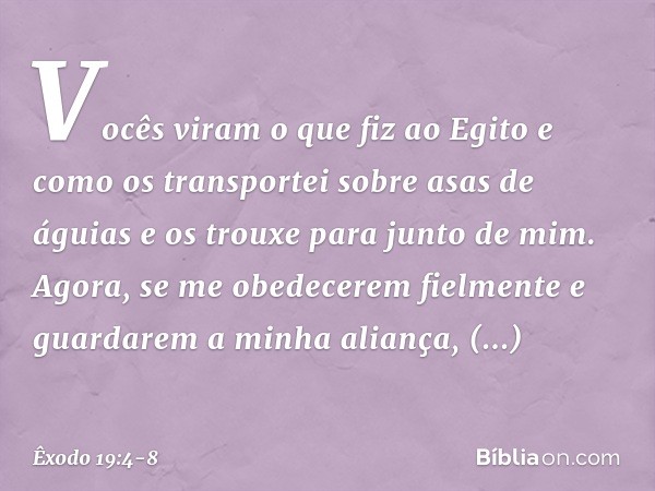 Vo­cês viram o que fiz ao Egito e como os trans­portei sobre asas de águias e os trouxe para jun­to de mim. Agora, se me obedecerem fielmente e guardarem a minh