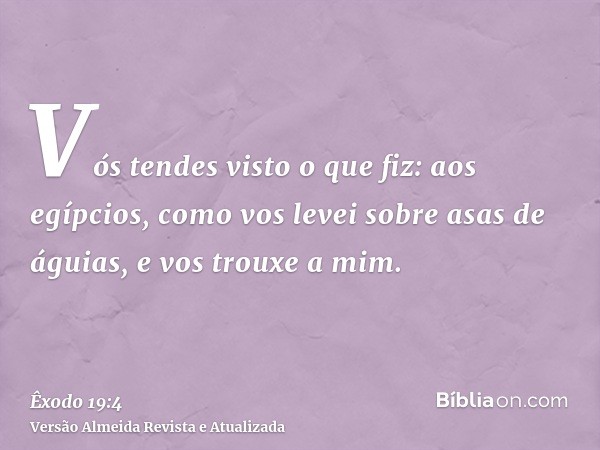 Vós tendes visto o que fiz: aos egípcios, como vos levei sobre asas de águias, e vos trouxe a mim.