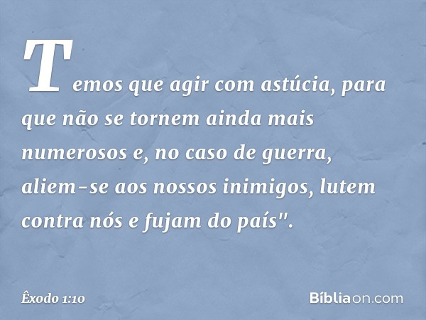 Temos que agir com astúcia, para que não se tornem ainda mais numerosos e, no caso de guer­ra, aliem-se aos nossos inimigos, lutem contra nós e fujam do país". 