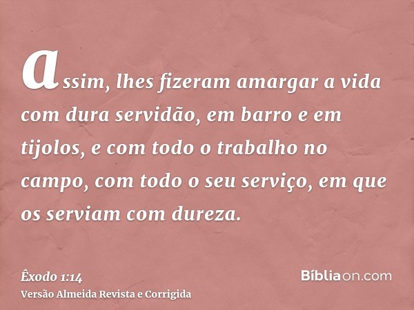assim, lhes fizeram amargar a vida com dura servidão, em barro e em tijolos, e com todo o trabalho no campo, com todo o seu serviço, em que os serviam com durez