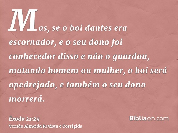 Mas, se o boi dantes era escornador, e o seu dono foi conhecedor disso e não o guardou, matando homem ou mulher, o boi será apedrejado, e também o seu dono morr