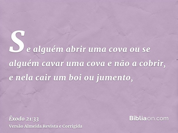 Se alguém abrir uma cova ou se alguém cavar uma cova e não a cobrir, e nela cair um boi ou jumento,