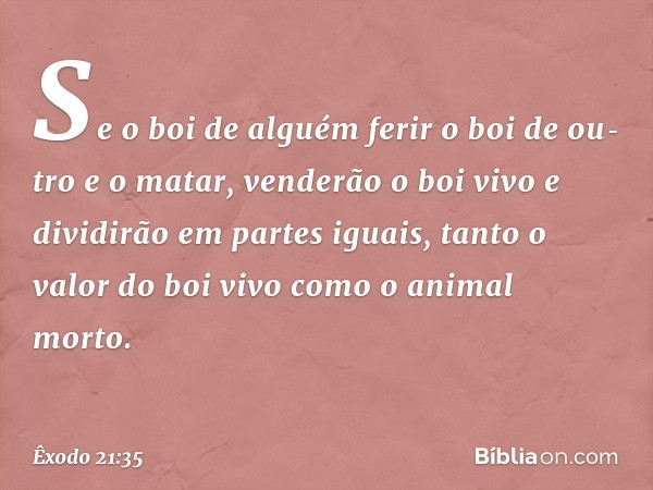 "Se o boi de alguém ferir o boi de ou­tro e o matar, venderão o boi vivo e dividirão em partes iguais, tanto o valor do boi vivo como o animal morto. -- Êxodo 2