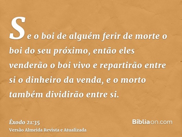 Se o boi de alguém ferir de morte o boi do seu próximo, então eles venderão o boi vivo e repartirão entre si o dinheiro da venda, e o morto também dividirão ent