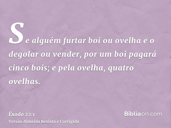 Se alguém furtar boi ou ovelha e o degolar ou vender, por um boi pagará cinco bois; e pela ovelha, quatro ovelhas.