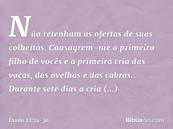 "Não retenham as ofertas de suas co­lheitas.
"Consagrem-me o primeiro filho de vocês e­ a primeira cria das vacas, das ovelhas e das cabras. Durante sete dias a