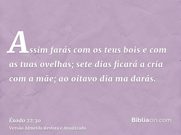 Assim farás com os teus bois e com as tuas ovelhas; sete dias ficará a cria com a mãe; ao oitavo dia ma darás.